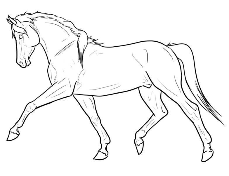 Dibujo realista de un caballo fotografías e imágenes de alta resolución   Alamy