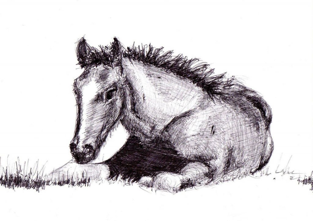  ilustraciones de caballos a lápiz
